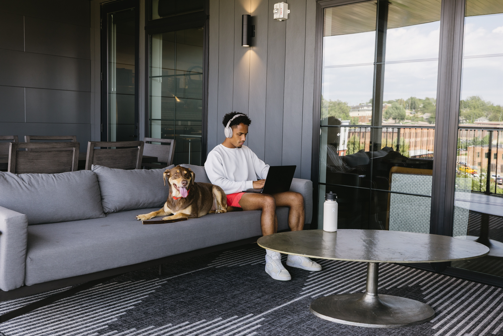 Downtown Dog