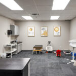 Flexible-use room with cabinetry, counter space and carpeted flooring